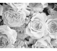 Origin Murals Mural Petals Large MUR126L