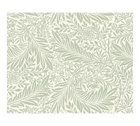 Origin Murals Mural Trailing Fern Mural Large MUR407L