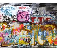 Origin Murals Mural Urban Graffiti Medium MUR158M