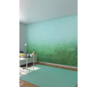Origin Murals Ombre Gradient Wall Mural in Green | Size: W300 cm x H240 cm Origin Murals Green W300 cm x H240 cm
