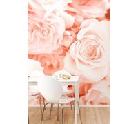 Origin Murals Petals Matt Wall Mural in Peach | Size: W300 cm x H240 cm Origin Murals Peach W300 cm x H240 cm