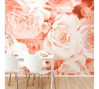 Origin Murals Petals Wall Mural - Peach - Peach - Medium - W300cm x H240cm