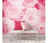 Origin Murals Pink Roses Matt Smooth Paste The Wall Mural 350Cm Wide X 280Cm High