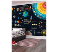 Origin Murals Scientific Universe Wall Mural in Black | Size: Large Origin Murals Black Large