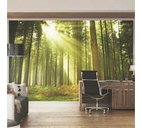 Origin Murals Spruce Forest - Evergreen - Evergreen - Medium - W300cm x H240cm