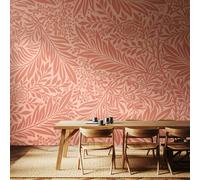 Origin Murals Trailing Ferns - Warm Coral - Large - W350cm x H280cm