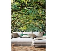 Origin Murals Tree Walk Wall Mural in Green | Size: Large Origin Murals Green Large