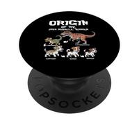 Origin Of Jack Russells Terrier Evolution History Dog Lover PopSockets Adhesive PopGrip