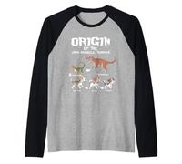 Origin Of Jack Russells Terrier Evolution History Dog Lover Raglan Baseball Tee
