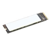 Original 4XB1N36076 Lenovo 2TB Performance PCIe Gen4 NVMe