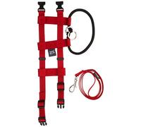 Original American Cesar Millan Illusion Collar Training Collar & Lead