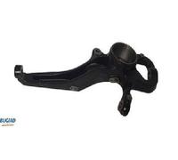 Original Bugiad Axle Knuckle Suspension BSP25505 for VW