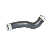 Original Bugiad Charge Air Hose 81648 for Mercedes-Benz
