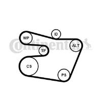 Original CONTINENTAL CTAM V-Belt Set 6PK1538K1 For BMW