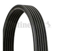 Original Continental CTAM V-Ribbed Belt 6DPK1100