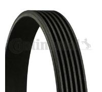 Original CONTINENTAL CTAM V-Ribbed Belt 6PK1105 for Alfa Romeo Fiat Honda