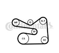 Original Continental CTAM V-Ribbed Belt Set 6PK1733K3 for Audi Seat Skoda VW