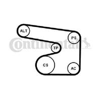 Original Continental CTAM V-Ribbed Belt Set 6PK1900K1 for Daewoo Opel