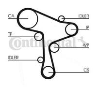 Original Continental CTAM Water Pump + Timing Belt Set CT1168WP6 for MAN VW