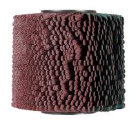 Original Einhell 120 x 100 mm Abrasive Strip Brush (Brush Sander Accessory for Einhell Cordless Brush Sander TP-BR 18/32 Li BL for Sanding, 120 mm in Diameter)