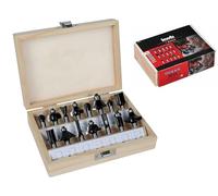 Original Einhell 15-Piece Milling Cutter Set (Suitable for Electric Routers, 15 Pieces, 8 mm Shank Diameter, in Wooden Case)