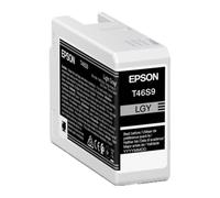 Epson Singlepack Light Gray T46S9 UltraChrome