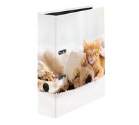 Original Falken Motif Folder, Pets. Made in Germany, 8 cm Wide, DIN A4 Ring Binder, Lever Folder, Letter Folder, Office Folder, Plastic Folder, Motif Folder