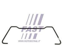Original Fast Stabilizer Suspension FT15960 for Iveco