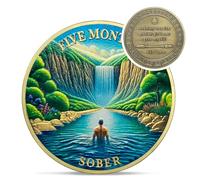 Original Five Month Sobriety Coin - Recovery 5 Month View AA Coins - Na Ha AA Chips and Medallions - 1-10 Prime Sobriety Chip Alcoholics Anonymous Gifts for Men Women