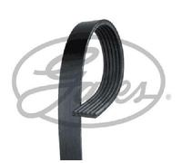 Original Gates V-Ribbed 6PK1441EST for Audi