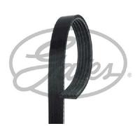 Original Gates V-Ribbed Belt 5PK1513 for Mercedes-Benz