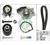 Original INA Water Pump + Timing Belt Set 530 0558 31 for Citroën DS Fiat Ford