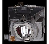 Viewsonic RLC-109 projector lamp