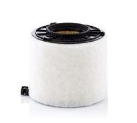 Original Mann-Filter Air Filter C 17 010 for Audi