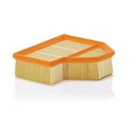 Original Mann-Filter Air Filter C 25 112 for BMW