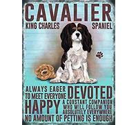 Original Metal Signs Cavalier King Charles Large Metal Sign, 40cm x 30cm