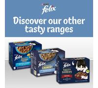 (Original Mixed Selection in Jelly) Felix Doubly Delicious Ocean Recipes Cat Food