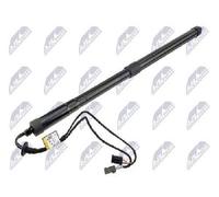 Fits NTY AE-CT-062 tailgate shock absorber