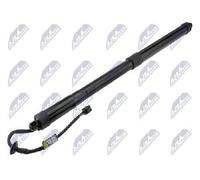 NTY AE-HY-050 Electrical motor, tailgate