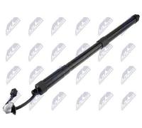 Original NTY Electric Motor Tailgate AE-NS-033 For Nissan