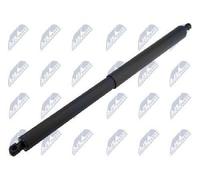 Original NTY Gas Spring Trunk/Cargo Space AE-FR-072 For FORD USA