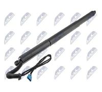 Original NTY Gas Spring Trunk/Loading Area AE-BM-081 For BMW