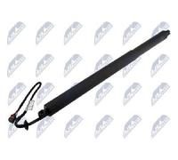 NTY AE-JG-000 Tailgate strut