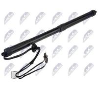 NTY AE-RE-074 Tailgate strut