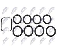 Original NTY Gasket Set Intake Manifold BKS-CT-000A For Citroën Peugeot