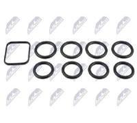 Original NTY Gasket Set Intake Manifold BKS-CT-003 For Citroën Fiat Ford Mini