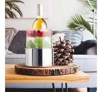 Original Products Final Touch Stainless Steel Ice Bottle Chiller