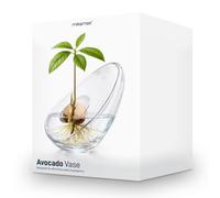 Original Products Mikamax Modern Glass Avocado Propagation Vase - Clear