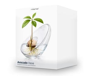 Original Products Mikamax Modern Glass Avocado Propagation Vase - Clear