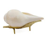 Original Pure Natural Traditional Jal Shankh with Stand for puja Size 4.5inch (11.5cm) by Indian Collectible